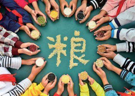 輸送帶廠家：第40個世界糧食日，食品安全很重要