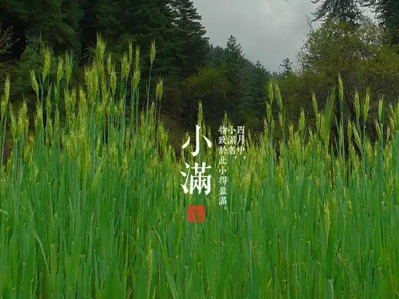 今日小滿，擎川與你一起靜待美滿！